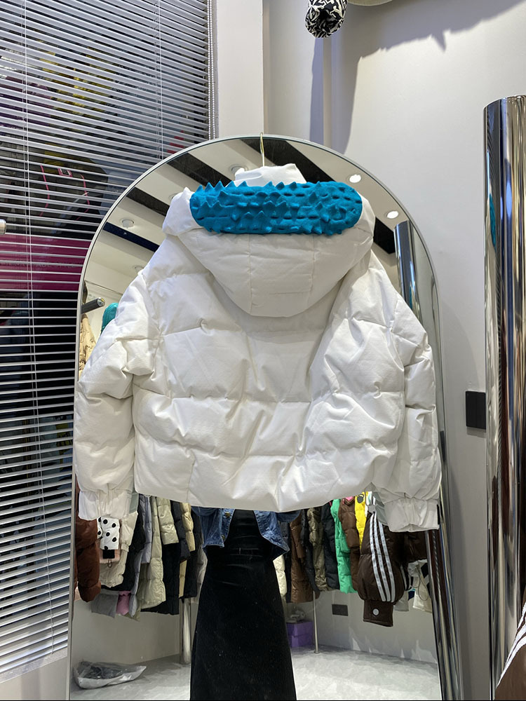 2024 Mode Damesjack 90% Witte  - Women'S Fashion Parka recensie en prijs